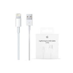 Lightning Cable with Dual Port Charger Block